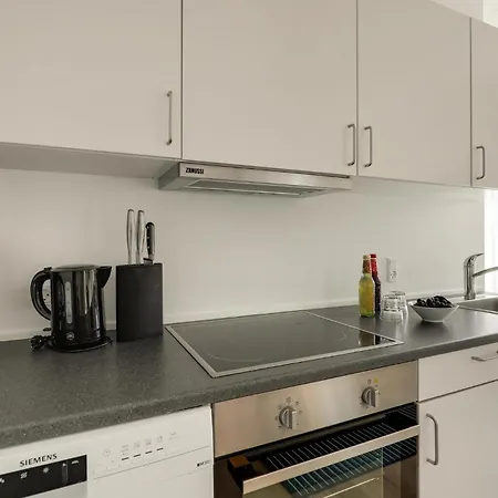 Apartment In With Wifi Nexo